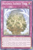 ͷ SDBT-EN037 ʥο Naturia Sacred Tree (Ѹ 1st Edition Ρޥ)