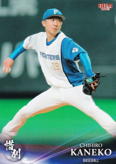 BBM ベースボールカード 06 金子千尋 (F) (レギュラーカード/プロ野球