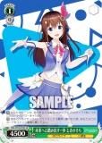  HOL/W104-052S ̤ؤƧ߽Ф ȤΤ (SR ѡ쥢) ֡ѥå ۥ饤֥ץ Vol.2