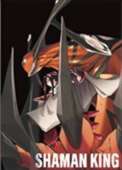 【A.ハオ】シャーマンキング メモリアルカードコレクション - REALiZE トレカ&ホビー