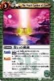 ڥץ쥤ѡۥХȥ륹ԥå BS16-065  2012BS16 ƻš