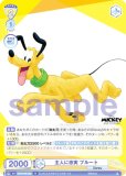 ĥ֥饦 DSY/01B-022 ͤ ץ롼 (N Ρޥ) ֡ѥå / Disney CHARACTERS