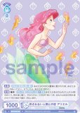 ĥ֥饦 DSY/01B-042 ʤʹ֤Ȥ ꥨ (RR ֥쥢) ֡ѥå / Disney CHARACTERS