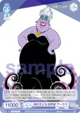 ĥ֥饦 DSY/01B-058 βȤʤ˾  (N Ρޥ) ֡ѥå / Disney CHARACTERS