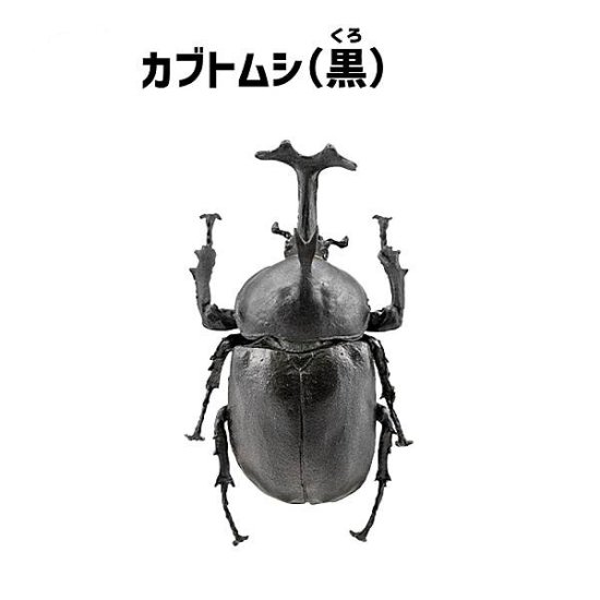 【カブトムシ(黒)】昆虫ハンター カブトムシ×クワガタ - REALiZE トレカ&ホビー