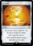 ޥå㥶 LTC EN 0408 ۤλ() (ܸ å쥢) ʪ졧Ĺ Ψ