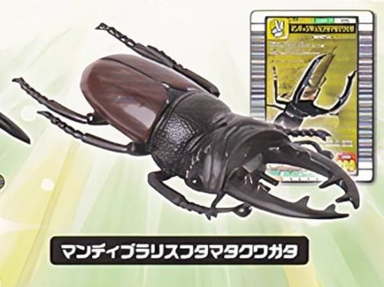 マンディブラリスフタマタクワガタ】 甲虫王者ムシキング ANNIVERSARY