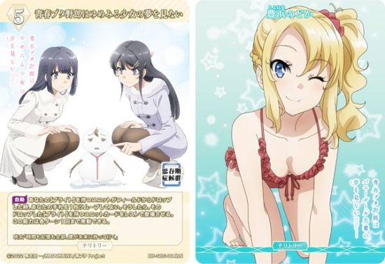 ビルディバイドTCG ブライト BB-SBS-004bN 青春ブタ野郎はゆめみる少女の夢を見ない/豊浜のどか (N ノーマル/T テリトリー) -  REALiZE トレカ&ホビー