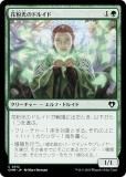 ޥå㥶 CMM JP 0312 ʴΥɥ륤 (ܸ ) Ψԥޥ