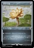 ڥå󥰡FOILۥޥå㥶 CMM JP 0605 ʴοϡ (ܸ 쥢) Ψԥޥ
