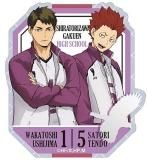 16ŷƸСۥϥ塼!! åȥƥåӥåȢƥåΤ