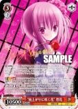  Grk/WS02-078SP 