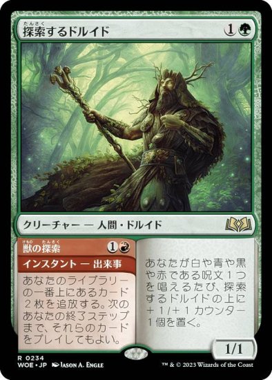 MTG 探索するドルイド 獣の探索 エルドレインの森 日本語4枚組