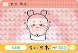 ڸܲ/  (P ץꥺ)ۥɥ 