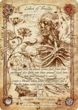 ڥե륢ǡۥեå֥å OUT 160 Codex of Frailty (M ޡ٥륺) Outsiders