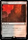 ޥå㥶 WHO JP 0259 ť߿ζë (ܸ 쥢) ɥա MTG