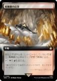 ޥå㥶 WHO JP 0490 ελĺ (ܸ 쥢) ɥա MTG