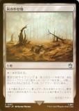 FOILۥޥå㥶 WHO JP 0257 Τ䤻 (ܸ 󥳥) ɥա MTG