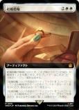 ڥFOILۥޥå㥶 WHO JP 1059 뺧 (ܸ å쥢) ɥա MTG
