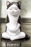ڥϥۺ-zazen-