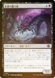 FOILۥޥå㥶 LCI JP 0114 ϸ (ܸ ) 󡧼줷ƶ (MTG)