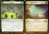 FOILۥޥå㥶 LCI JP 0188 ȥ⥯Ĺ / ۤפϡȥ⥯ (ܸ 쥢) 󡧼줷ƶ (MTG)