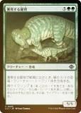 FOILۥޥå㥶 LCI JP 0203 ܰ餹 (ܸ ) 󡧼줷ƶ (MTG)