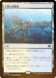 FOILۥޥå㥶 LCI JP 0280 Բ (ܸ 쥢) 󡧼줷ƶ (MTG)