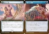 FOILۥޥå㥶 LCI JP 0360 Ԥޤ줿 / Ԥޤ줿 (ܸ 쥢) 󡧼줷ƶ