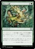 ޥå㥶 LCC JP 0233 ˤ (ܸ 󥳥) 󡧼줷ƶ Ψ (MTG)
