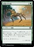 ޥå㥶 LCC JP 0245 μ (ܸ ) 󡧼줷ƶ Ψ (MTG)