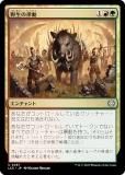 ޥå㥶 LCC JP 0287 Χư (ܸ 󥳥) 󡧼줷ƶ Ψ (MTG)