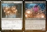 FOILۥޥå㥶 LCC JP 0010 ޤΤκ / ޤ (ܸ 쥢) 󡧼줷ƶ Ψ (MTG)