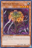 遊戯王 VASM-EN004 メメント・ダークソード (英語版 1st Edition 