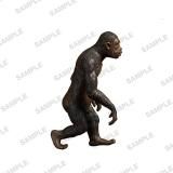 ڱ͡TAMA-KYU οʲ