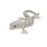 [ޥͥå] ˥ۥ ͥ㡼ƥ˥顼MONO PLUS ȥȥ ޥͥå&ܡ