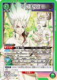 ڥΡޥ͡ۥ˥󥢥꡼ UA14ST/DST-1-107 п  (SR ѡ쥢) UNION ARENA ȥǥå Dr.STONE