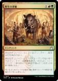 ޥå㥶 RVR JP 0217 Χư (ܸ 󥳥) ˥ޥ (MTG)