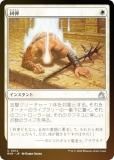 FOILۥޥå㥶 RVR JP 0014  (ܸ 󥳥) ˥ޥ (MTG)