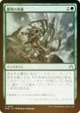 FOILۥޥå㥶 RVR JP 0142 κ (ܸ 󥳥) ˥ޥ (MTG)