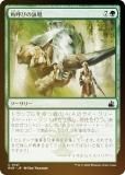 FOILۥޥå㥶 RVR JP 0147 ѸƤӤαӾ (ܸ ) ˥ޥ (MTG)