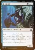 FOILۥޥå㥶 RVR JP 0238 񤯹 (ܸ ) ˥ޥ (MTG)