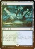 FOILۥޥå㥶 RVR JP 0275 ˿ (ܸ 쥢) ˥ޥ (MTG)