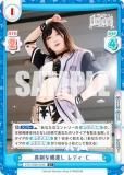 ڥѥReС STD/002B-024S ʴ㺹 ǥ (C ) ֡ѥå STARDOM