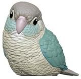 ڥ󥳡֥롼ʥۤƤΤե10