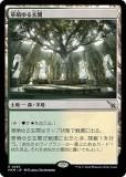 ޥå㥶 MKM JP 0263 ˨븼 (ܸ 쥢) šͻ (MTG)