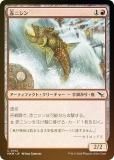 FOILۥޥå㥶 MKM JP 0142 ֥˥ (ܸ ) šͻ (MTG)
