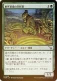 FOILۥޥå㥶 MKM JP 0148 ︽ʬϼ (ܸ 󥳥) šͻ (MTG)