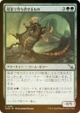 FOILۥޥå㥶 MKM JP 0158 ŵԤ (ܸ 󥳥) šͻ (MTG)