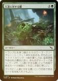 FOILۥޥå㥶 MKM JP 0177 ƻФǿ (ܸ ) šͻ (MTG)